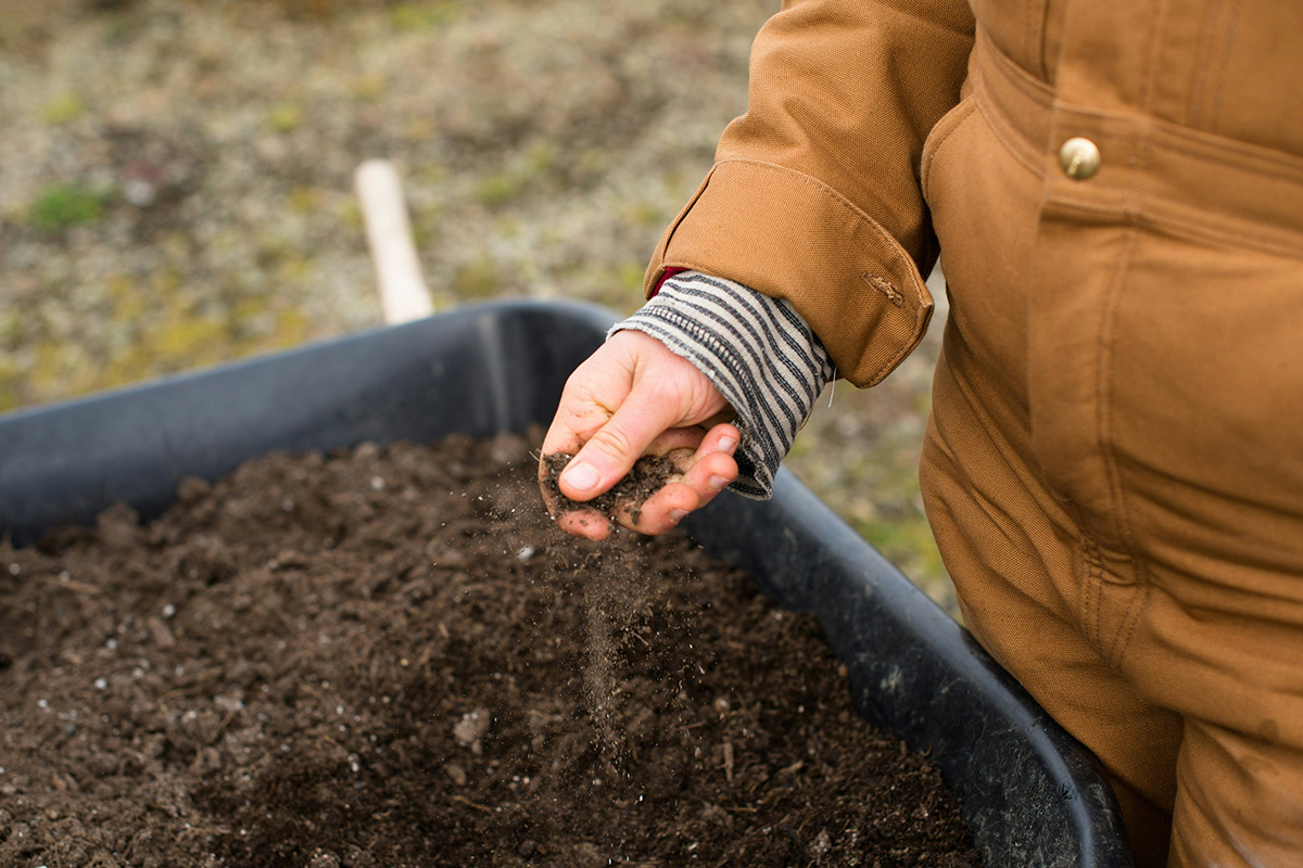 Acquista terra online per il tuo giardino: guida completa